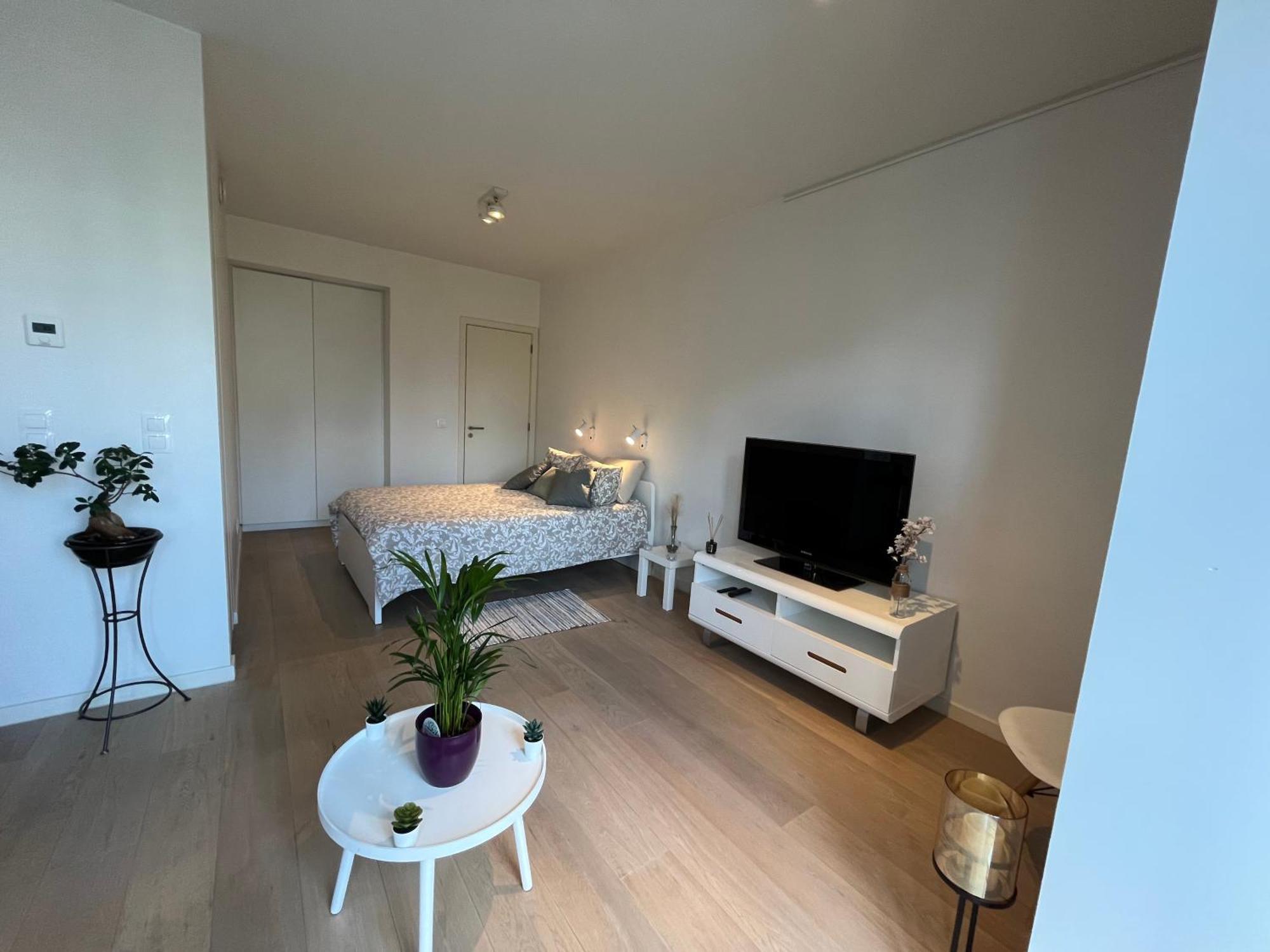 5Ensational Studio - Center Lejlighed Bruxelles Eksteriør billede
